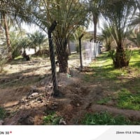 اسيجة BRC • اسيجة عشبية • كافة المحافظات