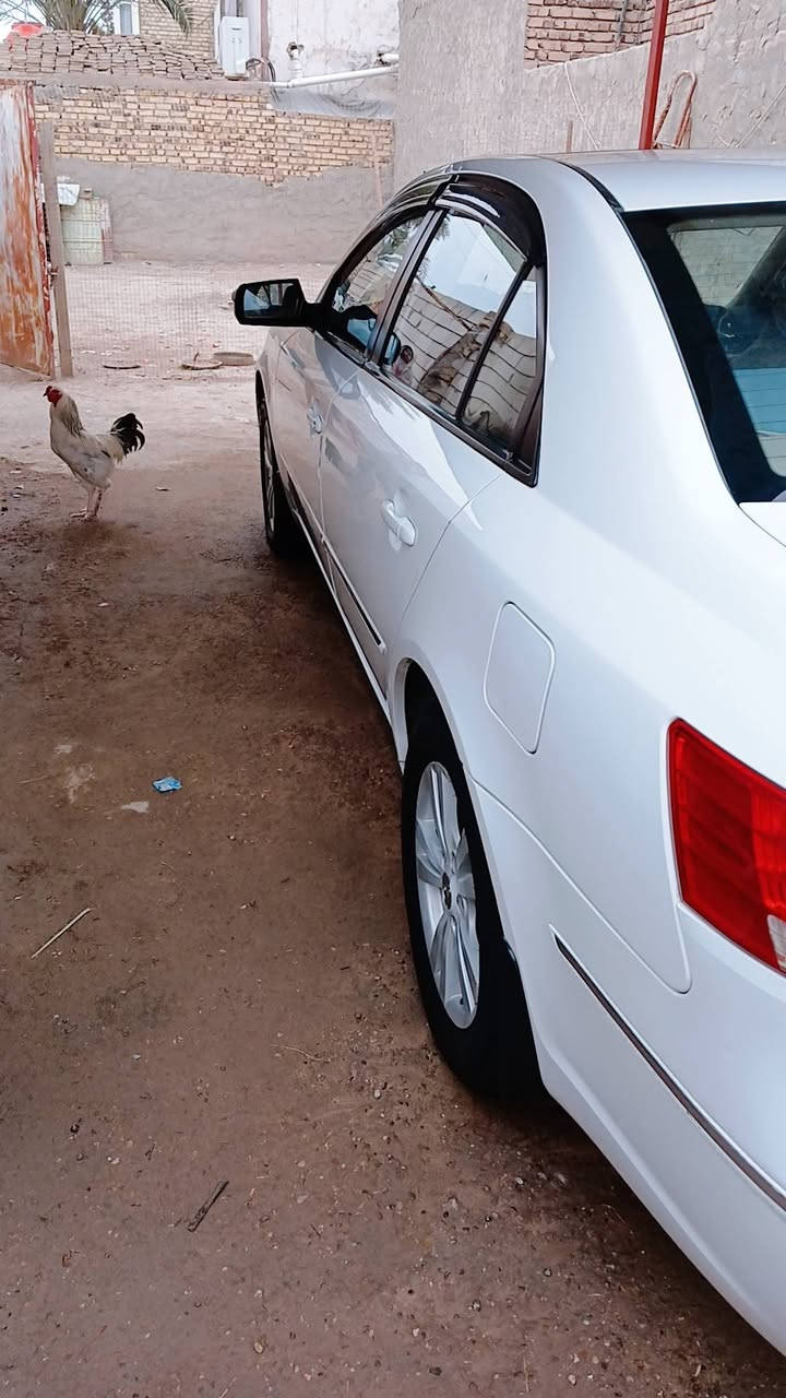 السلام عليكم سوناتا 2011 رقم بغداد فول مواصفات محرك الفين دوش ما مفتوح مكفوله 132وبيه مجال السياره نظيفه تجي وشوف تخم تايرات قبل اسبوع شادهن بسمي السياره *********** مكان السياره النجف
