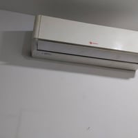 سبالت للبيع طنين وتصال ع رقم بي واتس 07712233890