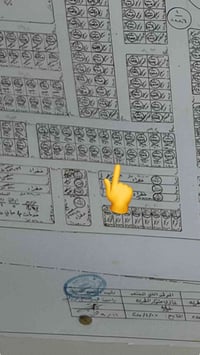 ٢٥٠م • سند وتحويل مباشر • واجهة ١٢ ونص