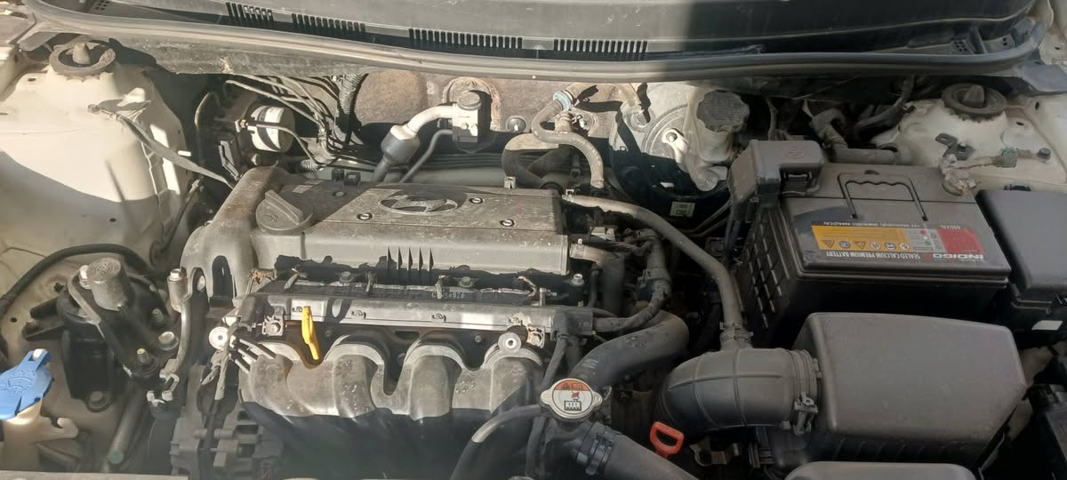 *********** كركوك, العراق
