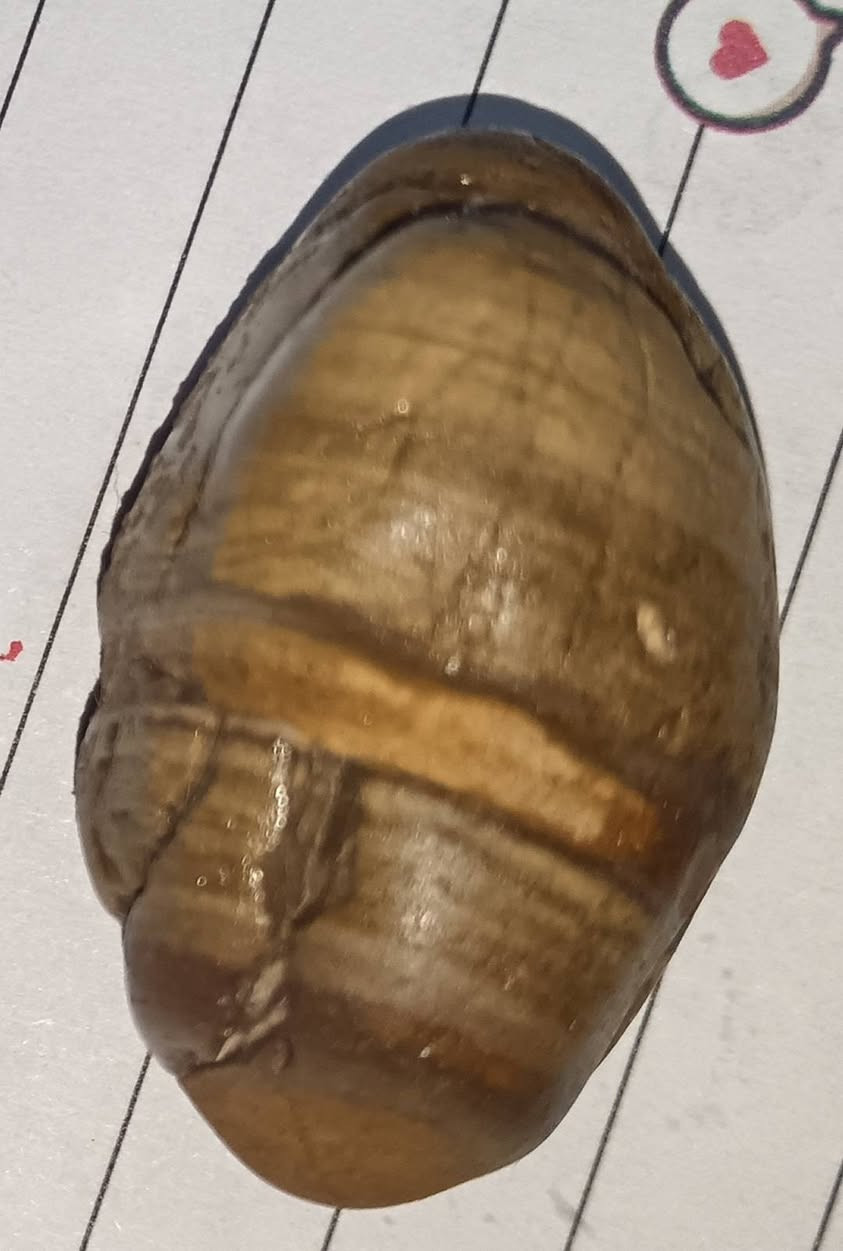 سلام عليكم


**إذا كنت صاحب هذا الإعلان وتريد حذفه لأي سبب، رجاءا أرسل رسالة إلى الدعم الفني**