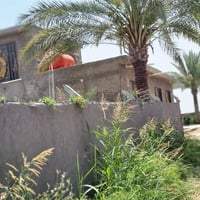 بابل ابو غرق • ارض طابو زراعي • ٤ دونم