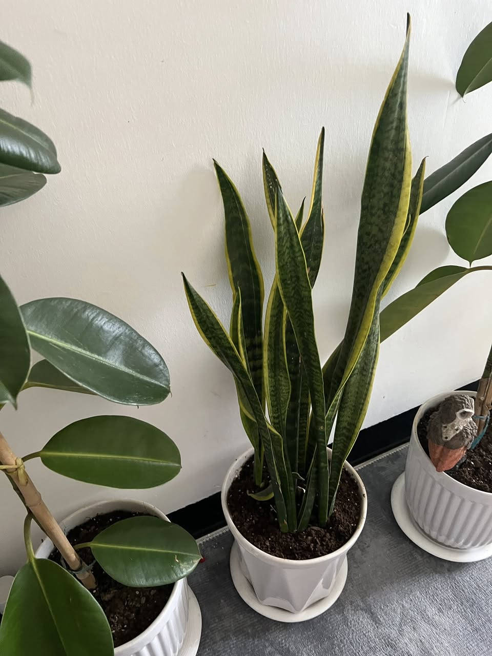 غراض للبيع نظيفات


**إذا كنت صاحب هذا الإعلان وتريد حذفه لأي سبب، رجاءا أرسل رسالة إلى الدعم الفني**