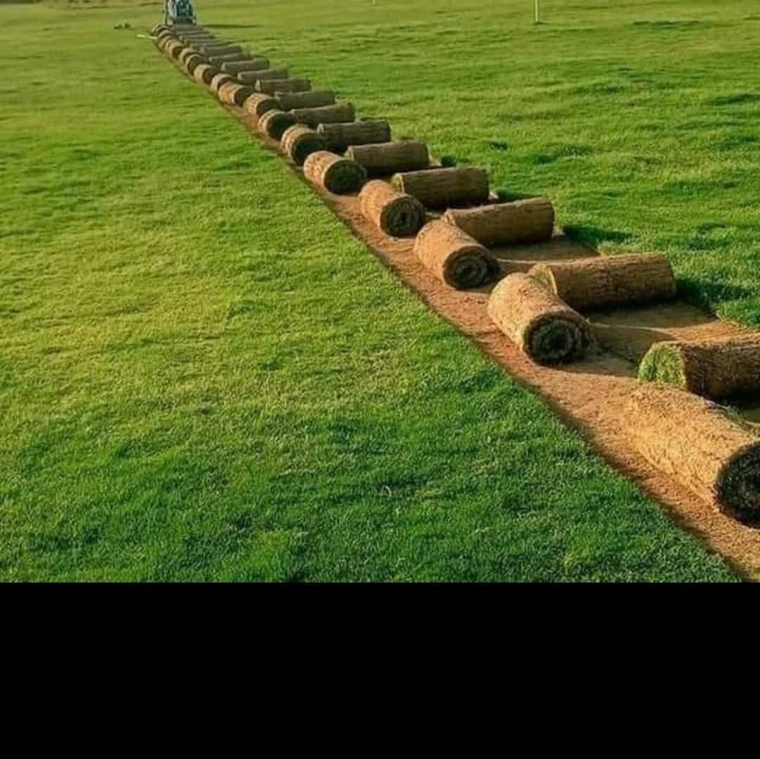 لدينا كافة أنواع الثيل الطبيعي درجة اولى
#متوفر  توصيل لكافة محافظات العراق

متوفر لدينا كافة انواع الثيل الطبيعي💚
#نوعية ممتازة 
هندي - امريكي - ايطالي فرنسي... 🌿☘️🍀
وبأسعار تنافسية 
 
مستعدون لتجهيز الحدائق العامة والمتنزهات والملاعب  
للحجز او الاستفسار اتصل على احد الارقام التالية:
***********
***********
