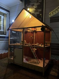 قفص • ارتفاع١٨٠ • ١٠ بيوت