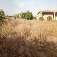 الان ✅  رقمي 07708992939