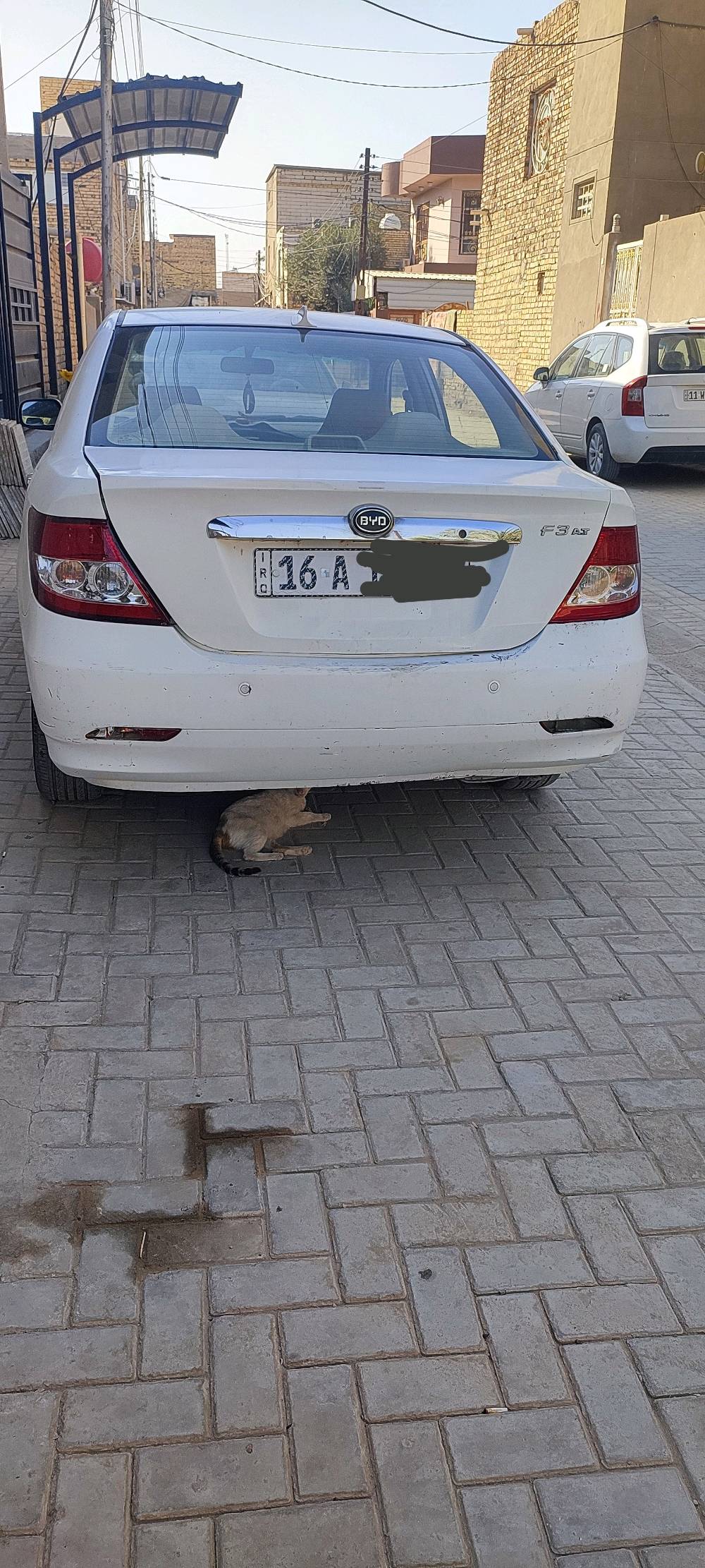 byd F3  اوتماتيك
موديل 2013 
سياره جاهزه كير ومحرك نظيف برغي مامفتوح  بلاد على ايدي استلام زيرو  من الشركه من وقتهه رقم قادسيه انكليزي سنويه نافذه ل2030 تحويل ثاني يوم