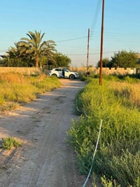ديالى • دور الزراعة • ١٠٠م