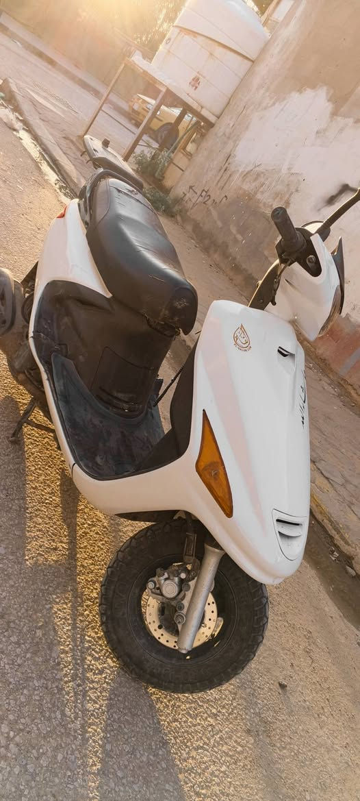 فراشة للبيع
فحل
 دسك امامي 
زنون عالي ناصي
تجي تفحص ونتكاتب 

رقم الهاتف ***********
