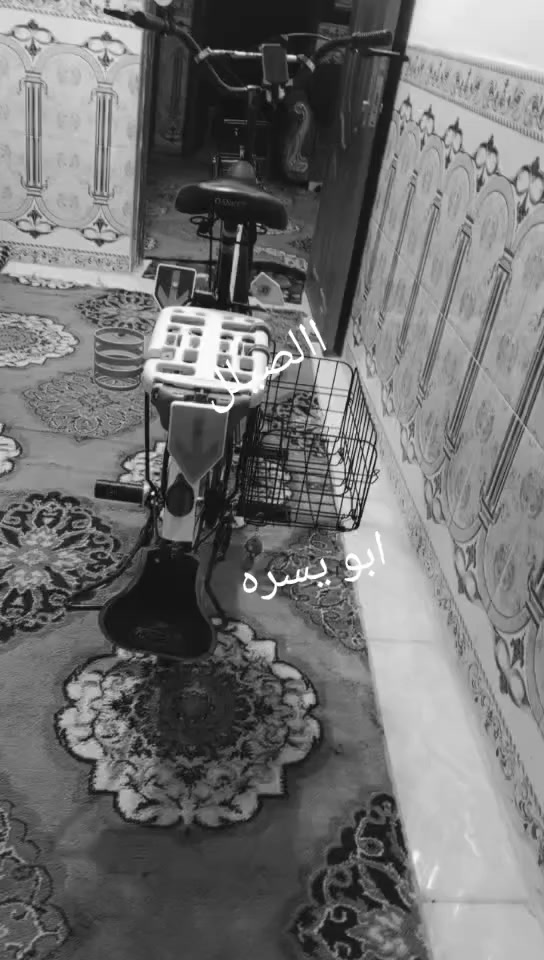 عمي سلام عليكم باسكل للبيع السعر ب65بدون الغراض ب55وبي مجال للطيبين في مشروع المسيب قرب عل محاويلل
و التواصل واليريده يجي خاص او يخابرني عل رقم 
***********
