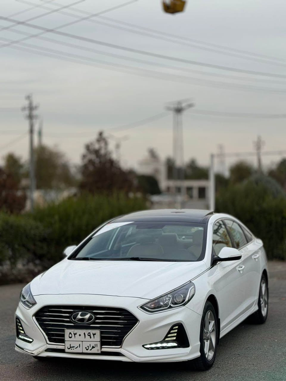هيؤندا سؤناتا ٢٠١٨ ( خـليـجـي )
وكالت شريكه اربيل
فول مواصفات 
ماشى ٣٨كم
فوول مواصفات   
بانوراما - كشنات جلد-وايار ليس -مرايات شفت -گير شفت-....
سيارة مكفوله بدون سبوغ
كير و محرك بشرط 
كهربايي كلشى بشرت
 محرك ٢٤٠٠كبير
سياره رقم اربيل - فحص هةزةجديد 
سياره بسمى تحويل و وكاله نفس يوم مباشر
 كورك واتساب   *********** أربيل, العراق
