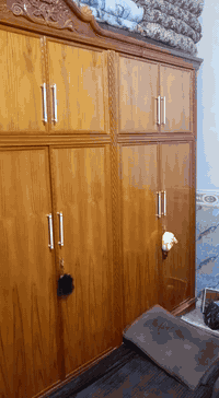 كنتور صاج البيع نضافه درجه اوله صاله سبوع من النصب السعر خاص
***********
