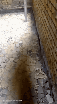 يالله الي يحتاج قفاز يتص على ***********
