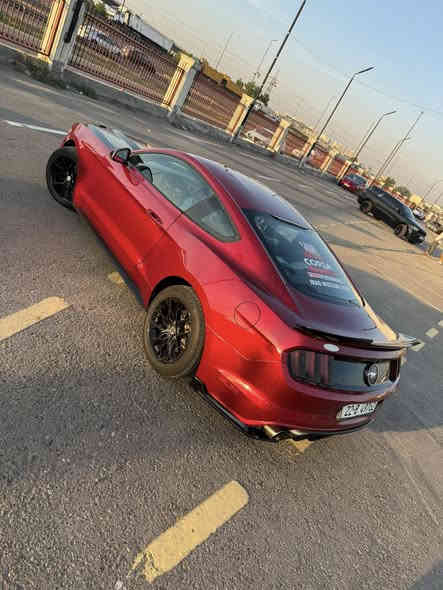 سلام عليكم 
موستنك 2016 خليجي  6v
وكالة انتر ناشيونال
كير مكينة اكسل مكفولات 
بيها بالعراق جاملغ خلفي كلير وصبغ جاملغ وبنيد صورة ضربة ناشرهة 
سعر 129 وبيها مجال
مكاني حي جامعة  *********** واتس 
***********
