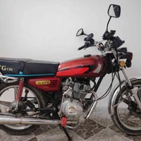 سافين • 2020 • سليم