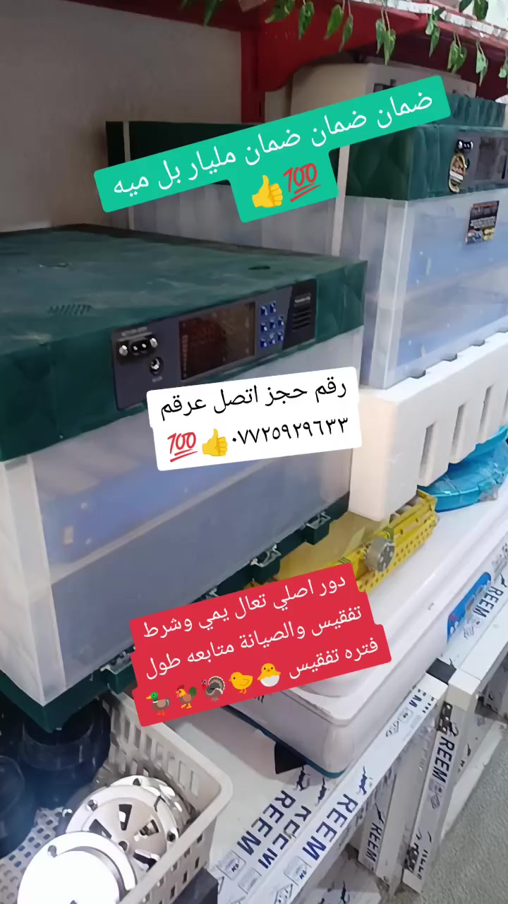 أهلا وسهلا بكم في مكتب البيادر
أرجو إتصال *********** 
لكثره الطلبات ولود عليه ما اكدر اجاوب رسائل اتصل بيه إذا كنت شراي وبخدمتكم انه أنور عاصف
