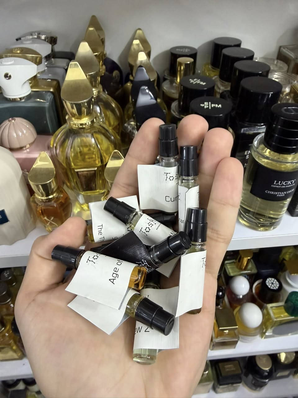 السلام عليكم 🩶
دسكفري سيت توسكوفات
جدا نادر
بي عشر سامبلات حجم الواحد 2ml
كلهم مستخدمات رشه رشتين
العطور الموجوده داخله :
Empty Wishes Well
Inexcusable Evil
R
Curtain Call 
Silent at The Theme Park
Things We Never Shared 
Pining Dew 2
Age Of Innocence 
Anarchist
Generation Godard
100$ سعرها


**إذا كنت صاحب هذا الإعلان وتريد حذفه لأي سبب، رجاءا أرسل رسالة إلى الدعم الفني**