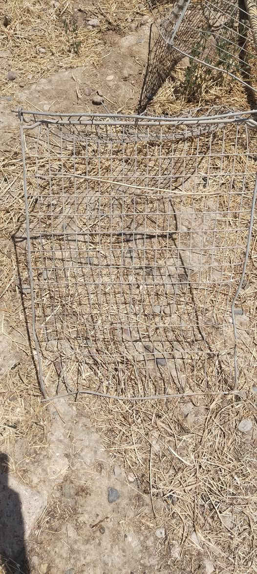 السلام عليكم.. سيم غنم شائك اصلي للبيع يرهم مال سياج ويرهم مال غنم... زائد مشبك قطع هم يرهم سياج ويرهم كلشي الشراي يتصل***********
