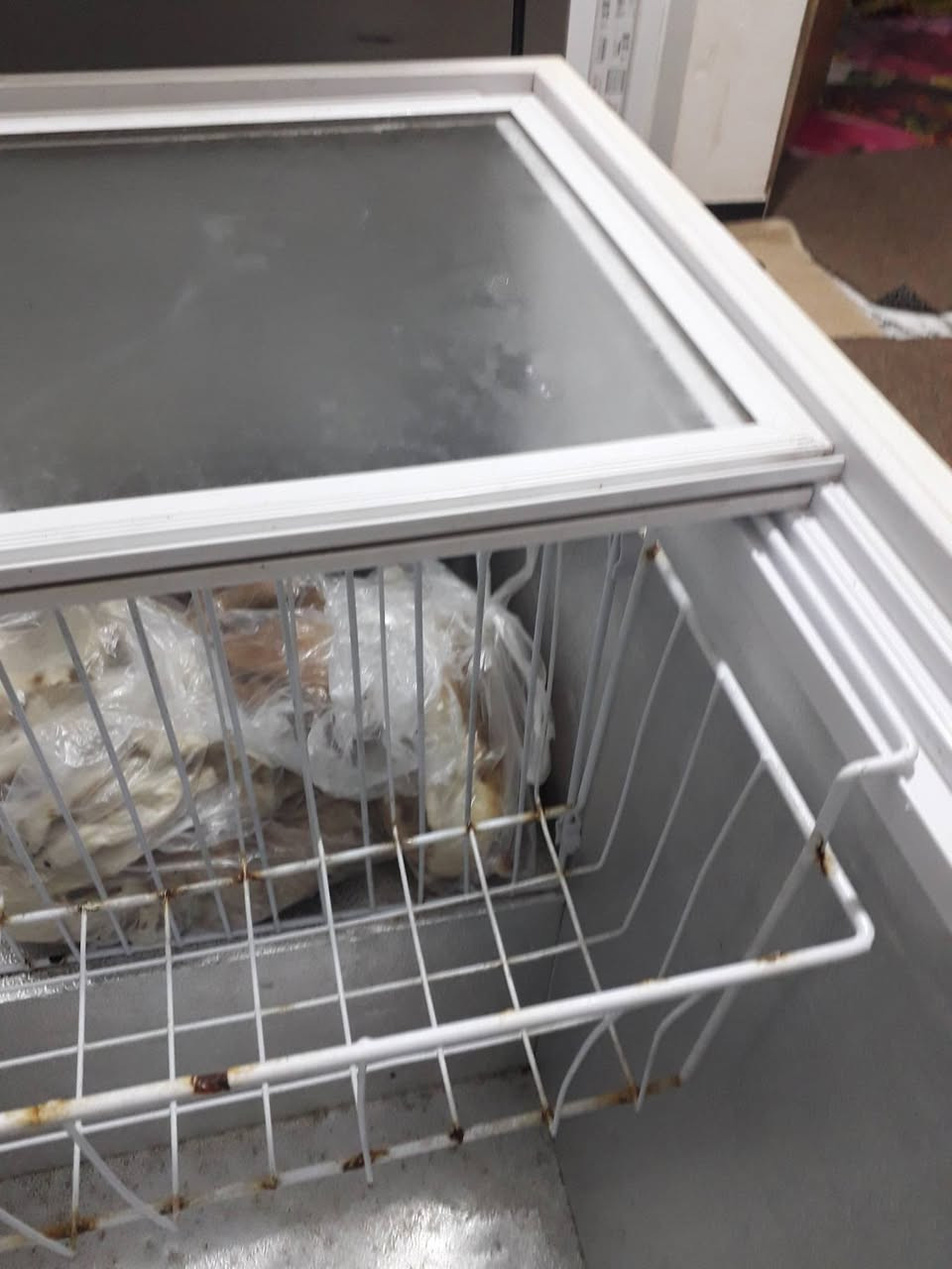 فريز شغال بس نقص غاز
الجزيره شط العرب /اليوبه الصقر
السعر 100 وبي مجال قليل


**إذا كنت صاحب هذا الإعلان وتريد حذفه لأي سبب، رجاءا أرسل رسالة إلى الدعم الفني**