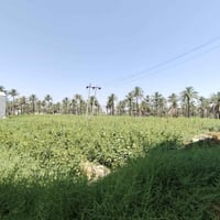 دونم للبيع • أرض للبيع • أراضي للبيع • أرض نظامية • مكتب عقارات • بابل...