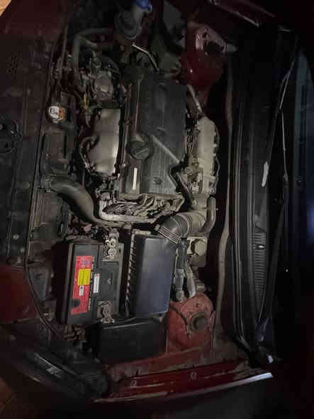 كيا ريو 2011 خليجي محرك 1400 دوش تبريد جديد ثلج محرك خيط تبخير بي السعر 88بيها مجال بسيط
التواصل على الرقم ***********
