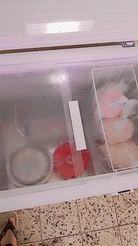 مجمدة • استخدام قليل • بغداد