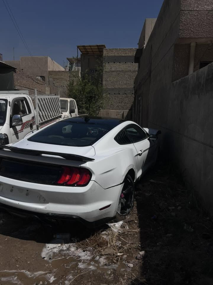 مـوستنك موديل 2022 للبيع  بلاك ادشن
سـعر : 67 ورقة بيها مجال 
على حادثها أبيع واقع حال 
أيـكو بوست سعة المحرك 2.3L تون تيربو 
رقم شـمالي الجديد إنكليزي ( أربيل ) 
مـعروفة مواضفات الـ إيـكو بوست . 
حادث امريكا  باب السايق وجاملغ امامي 
العـنوان : زيـونة 
 
رقم الهاتف : ***********
