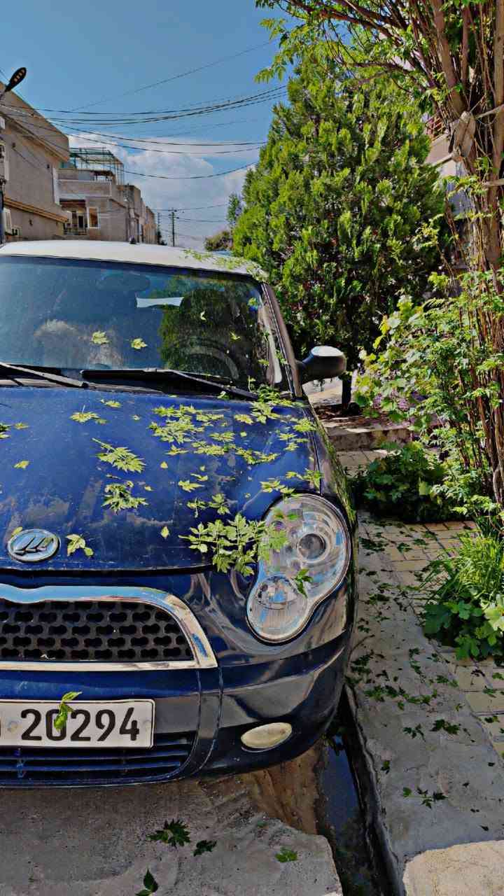 لیفان 2013 زۆر خاوێنە بێ کێشەیە بێ بۆیاغە بەناوی خۆمە سەنەوی نوێیە تازە نوێکرایتەوە تەبرید بەشەرت هەمووشیان گێر عادین
*********** أربيل, العراق
