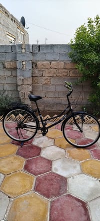 باسكل ٢٦ • موديل ٢٠٢٤ • كربلاء جامعة فريحه