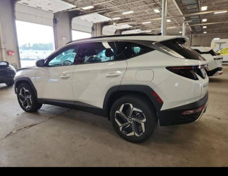 السلام عليكم توسان هايبردابيض فول مواصفات بيهه البنيد صبغ فقط بدون دواخل وارد أمريكا كشنات جلد كهربائي2024 اماميات تدفئه تبريد الخلفيات تدفئه تشغيل عن بعدتقديم وترجيع بل ريمون رقم بغداد لعنوان بغداد العبيدي السعر210وبيه مجال صوره لحادث مرفق بل منشور ***********
