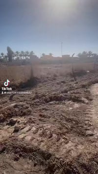 🏡 قطعة أرض 2 دونم – فرصة استثمار مميزة! 🏡  📐 المساحة: 2 دونم كاملة 📜 ط...