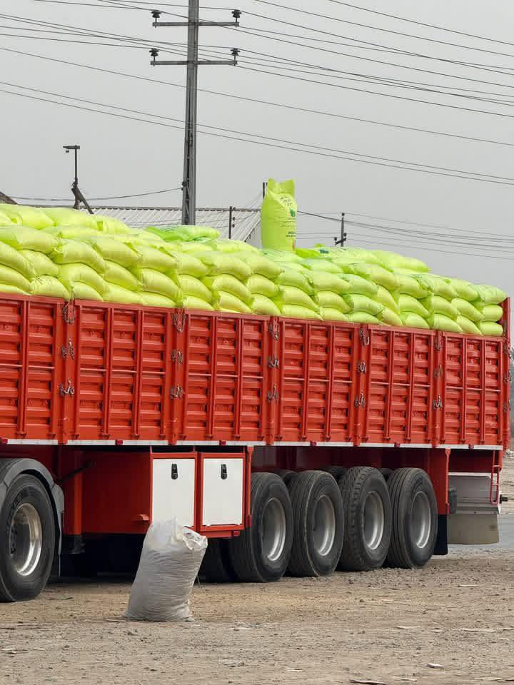 يتوفر لدي ابيضّ عراقي يتوفر توصيل كافت المحافظات ***********
