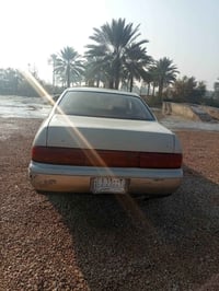 بطة • ١٩٩٢ • بابل المسيب