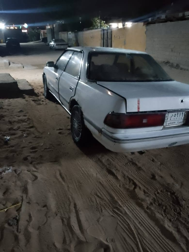مارك ونجي مكفوله صبغ ظربه غفل ٢٣ ***********وتساب
