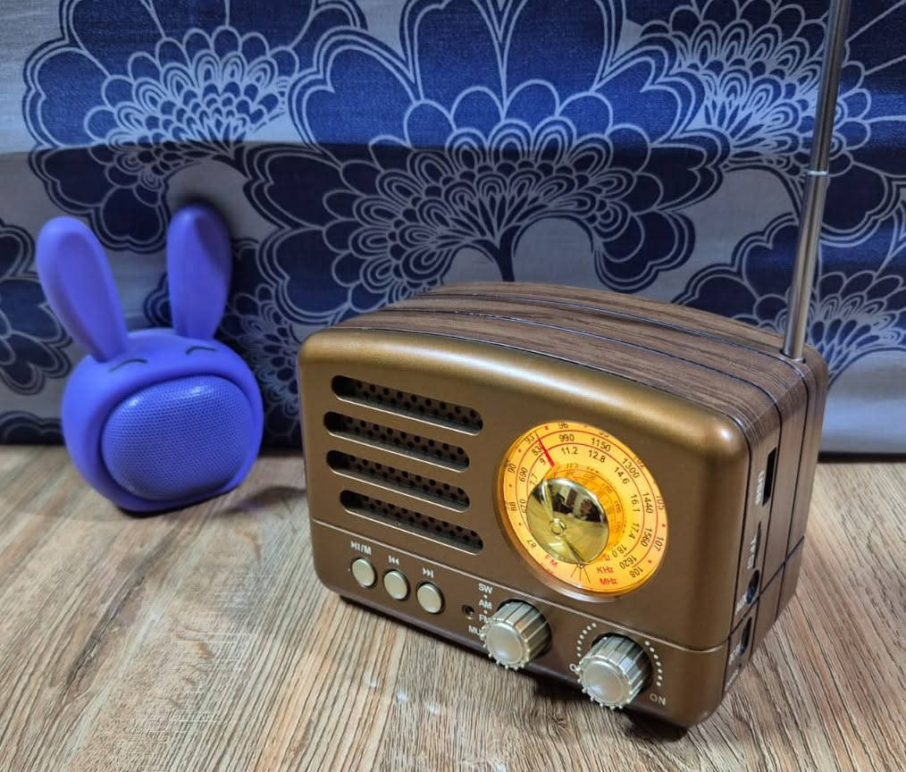 السلام عليكم

راديو 3 موجات fm-am-sw
بحث يدوي وليس دجتال
بلوتوث وفلاش ورام / شحن
الشكل مميز كلاسيكي / سحب وصوت واضح جدا
السعر 20 متوفر توصيل


**إذا كنت صاحب هذا الإعلان وتريد حذفه لأي سبب، رجاءا أرسل رسالة إلى الدعم الفني**