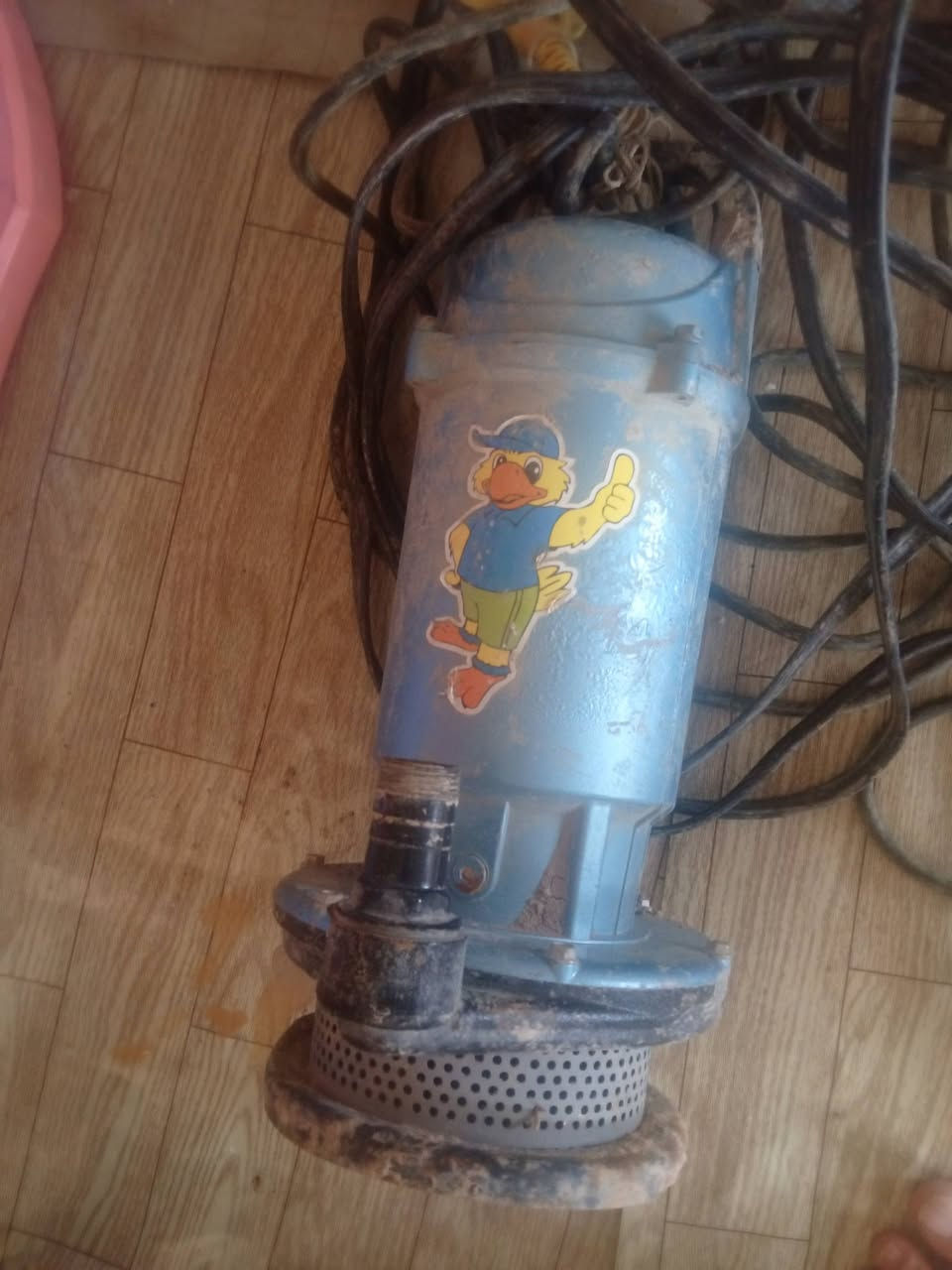 ثلاجه للبيع تجميد الفرزر فول بس جوه بس بروده غطاس للبيع


**إذا كنت صاحب هذا الإعلان وتريد حذفه لأي سبب، رجاءا أرسل رسالة إلى الدعم الفني**