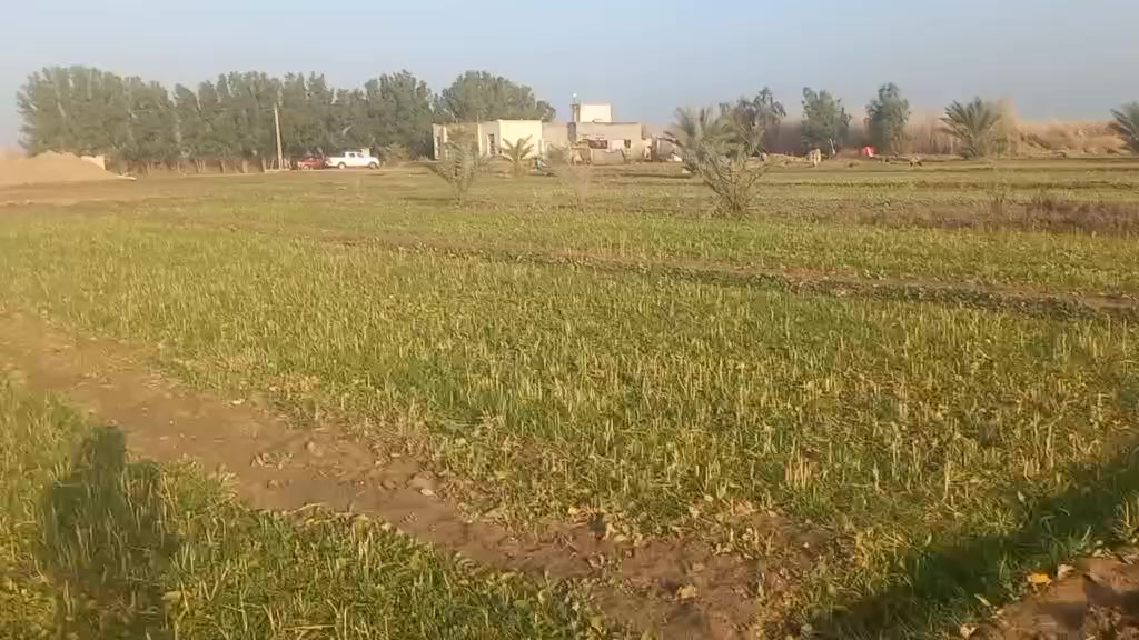 سلام عليكم ورحمة الله وبركاته
أرض زراعية للبيع 
9دونم فيه نخل ورمان مثل ماواضح بصوره 
بيت 4غرف براني 15متر 
كهرباء ماء اساله 
ماء سقي متوفر 
العنوان طريق سومر عفك تبعد عن الشارع العام 400 متر طريق رسمي كتف بزل رئسي 

 وأيضاً اقل من كيلو متر تقريباً متوفرة اسواق 
ومستوصف صحي صيدلايات 
ومدارس بتدائية متوسطه واعدادية
***********
