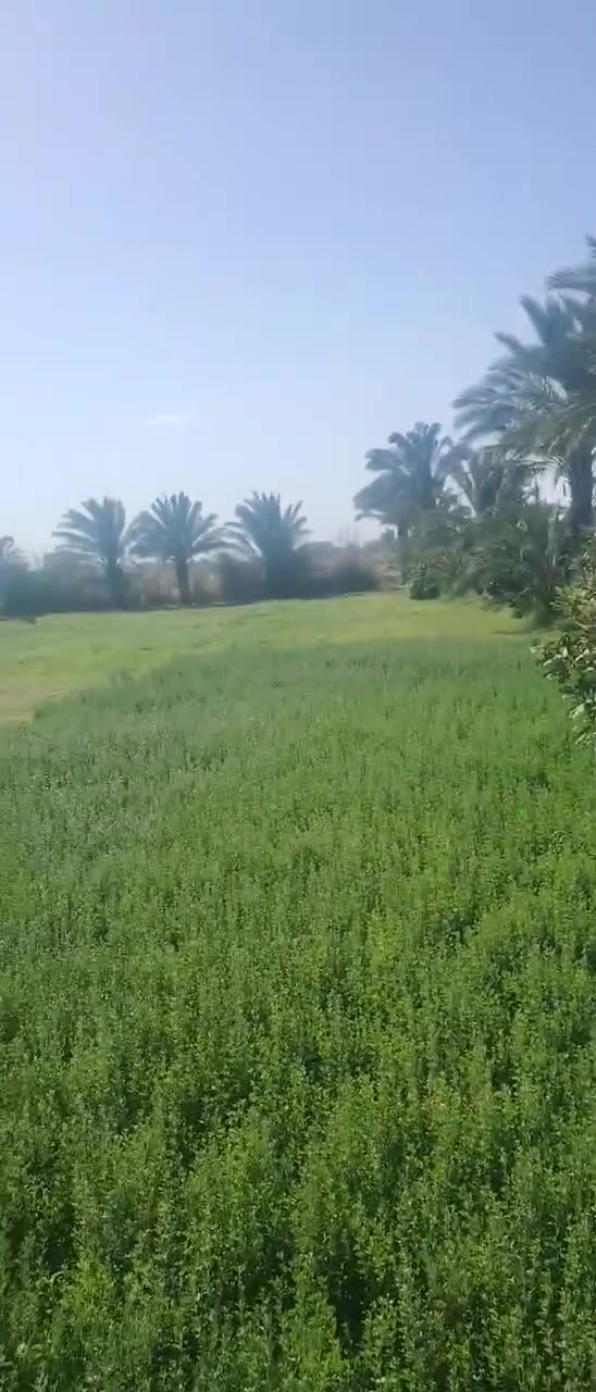 سلام عليكم ارض زراعيه للبيع تحتوي عله بيتين واحد جاهز وثاني واصل للصب وجميع الخدماته متوفره عله طريق الابنجيم للستفسار عله رقم ***********
