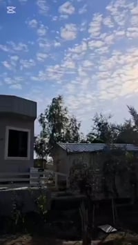 خانقين • ديكورات منزلية • فوم استروبول