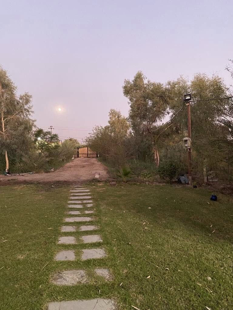 السلام عليكم مزرعة دونم للبيع سند 25 موقع حلوو منطقة هادئة متوفر كافة الخدمات  ماء كهرباء ركن  على شارع تبليط   مزروع اشجار رمان نخيل كالبتوز زيتون محمية دواجن 
الموقع : سنيه سياحي قرب مشروع ماء السنيه رقم 7 نزلة التبليط على جهة اليمين
للتواصل : ***********
