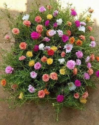 السلام عليكم متوفره اقلام ورد الصباح 💐 مجاناً الي يريد يجي وبخدمته


**إذا كنت صاحب هذا الإعلان وتريد حذفه لأي سبب، رجاءا أرسل رسالة إلى الدعم الفني**