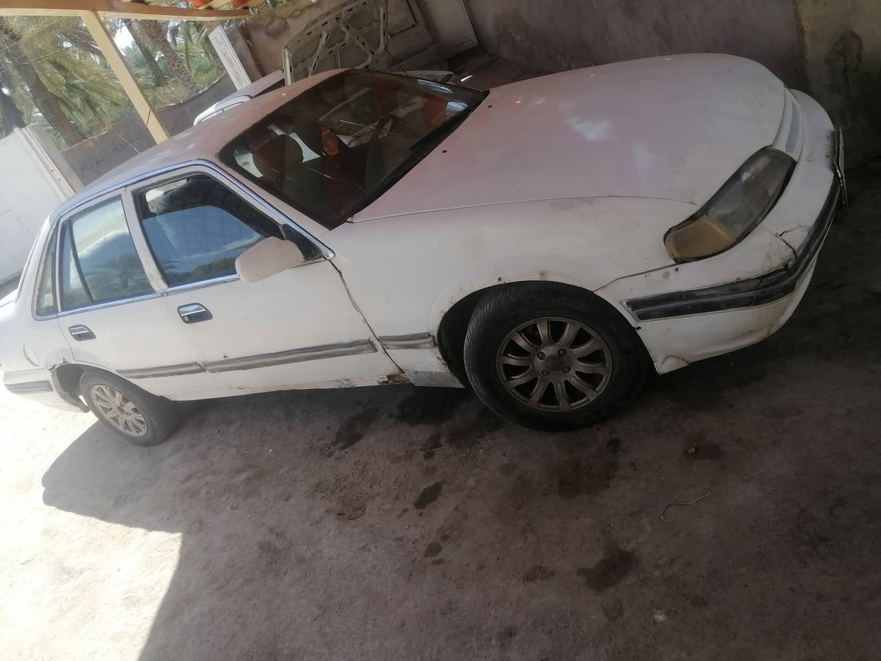 سلام عليكم دايو برنس 95 مكينه تخربط وكير نمره تخربط سلكتر سياره كهربائيات كله شغاله حداديه جديده تخم تاير جديد بور جديد باتري جديد دواخله بلادي رقم كربلاء الماني تحويل ثاني يوم المكان كربلاء ولسعر 15 الرقم ***********
