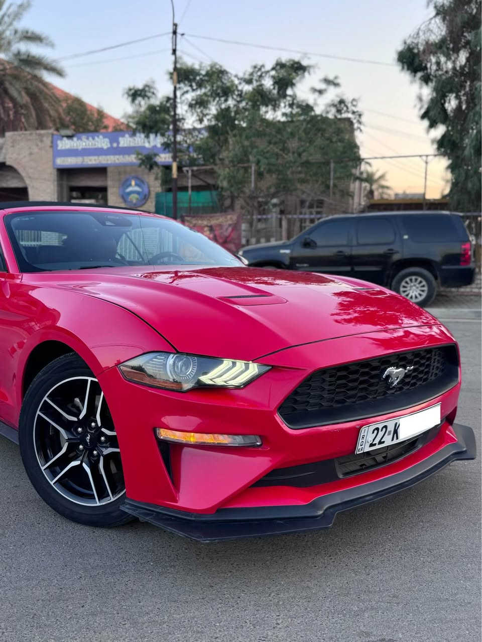 السلام عليكم
Mustang Premium 2022 1/1
ايكوبوست بجم كبس 
رقم اربيل باسمي
موصفات 
كشف
بصمه 
ترحيب 
تشغيل عن بعد 
كشنات تدفئه
كشنات تبريد 
سترين تدفئه  
وضعيات قياده
رادار امامي 
رادار جانبي نقط عمياء 
حساسات اماميه 
حساسات خلفيه 
شاشه كبيره 
وبعد بيها موصفات فول موصفات اعلى شي السياره 

سياره جديده بمعنى الكلمه محرك كفاله كير كفاله صدرها كهربائياتها تخم تاير جديد تبريد ثلج سياره كفاله بوضع شركه ادامه على المحرك من زيوت وفلاتر وبلكات 

طختها باب السايق والجاملغ وره السايق والباقي كله كفاله ونفسه مصلح يعني سياره بيها صبغ جاملغ خلفي وباب السايق والباقي كله كفاله سياره بجم كبس سياره مناسبه وحلوه مقارنه بالسيارات الي بيهم بجم وخمس قطع شوف السوك يلا تعلق وتخابر 🤍

رايدها ب162 ورجاء مو شراي لتعلق وتعبني كلمه طيبه منك واعبر المنشور حبيبي انت🤍
للاستفسار ***********
مكاني بغداد الوزيرية بغداد, العراق
