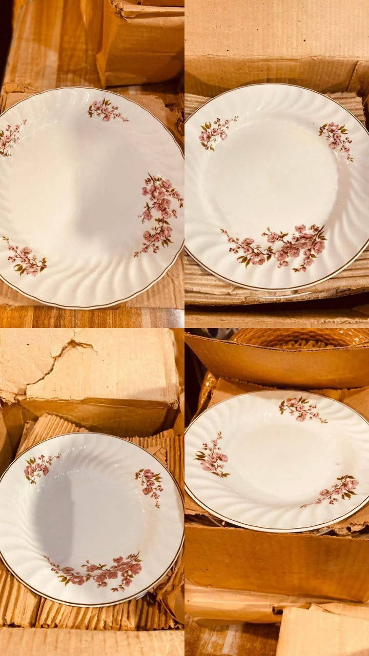 سيت شاي روماني ١٧ قطعة جديد غير مستخدم 
سيت طعام ١٢ نفر روماني(٤١ قطعة) لوك غير مستخدم كل القطع بالكارتون 
١٢ ماعون شطح
١٢ ماعون عميق
١٢ ماعون حلاوة
سلطانية كبيرة+بلم كبير 
كاسة كبيرة + ماعون شطح كبير


**إذا كنت صاحب هذا الإعلان وتريد حذفه لأي سبب، رجاءا أرسل رسالة إلى الدعم الفني**