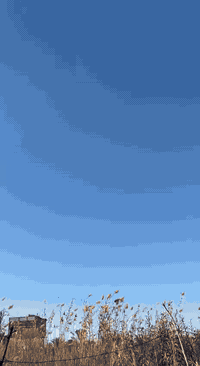 ماكس عدله مكينه 49 تزويد خارجي شوفت عينك فول نضافه اي ستفسار ***********
