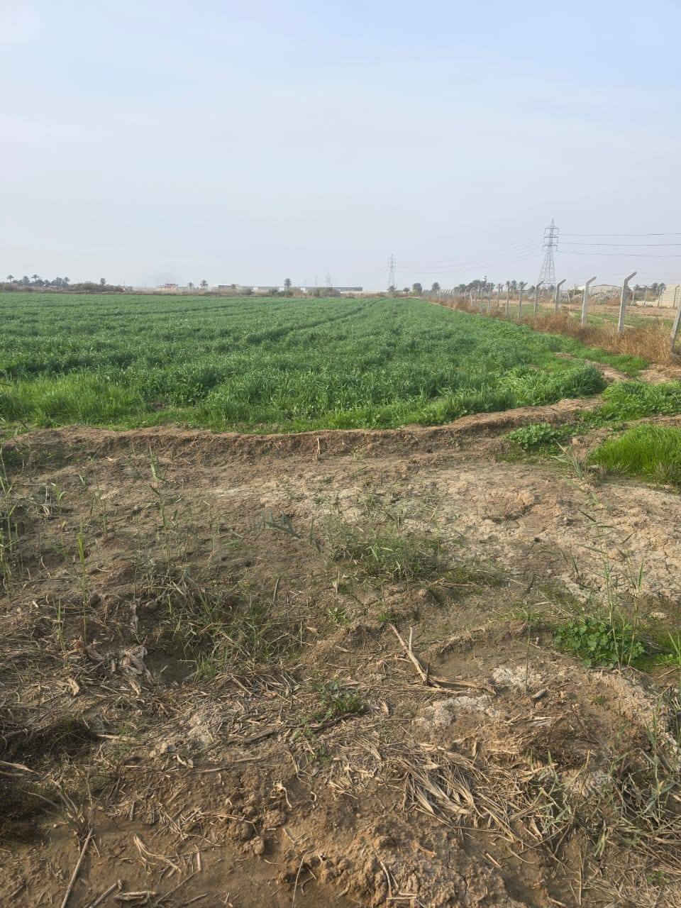 السلام عليكم ورحمة الله وبركاته
قطعه أرض المساحه 2 دونمين للبيع الوجه 48  شارعها 15 متر. مقابل بسمايه سند 25 تحويل. قرب دائرة المجاري
المكان بغداد المدائن منطقه الجعاره الاستفسار اتصل ***********. ***********  ابو عيسى
