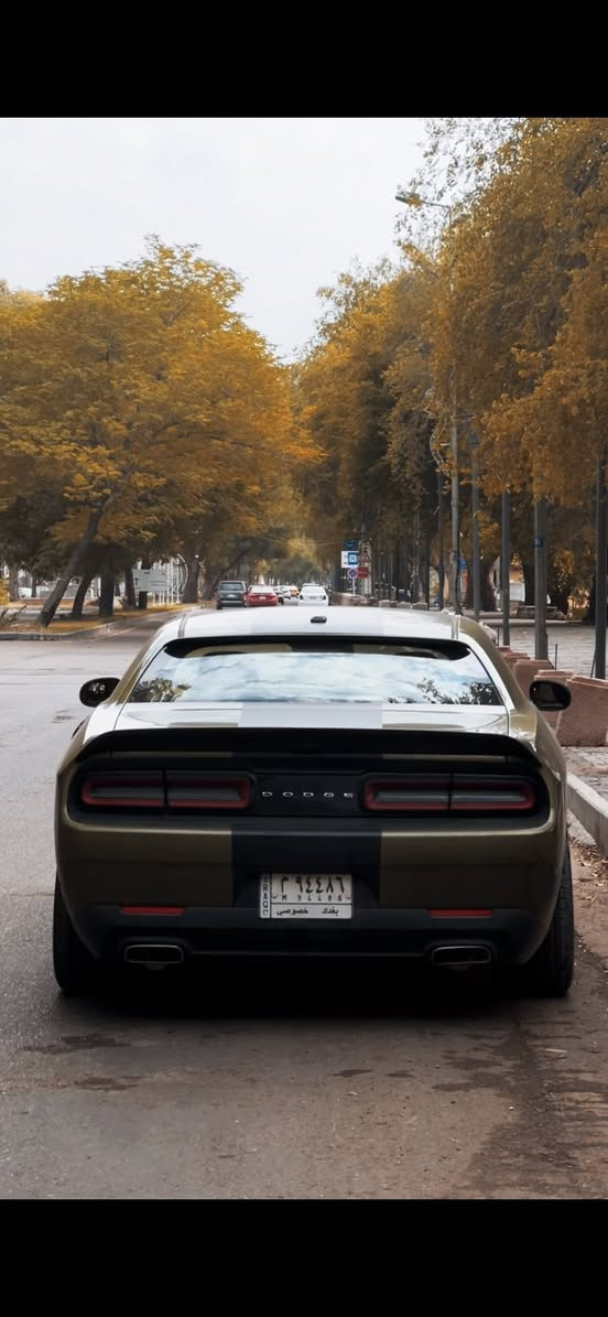 للبيع دودج جالنجر SXT موديل 2018 🔥
للناس الي تدور الهيبة، الشكل الرياضي، والأداء المرتب… فرصة ما تتعوّض.
سيارة استخدام شخصي ومحافظ عليها جداً، نظيفة من الداخل والخارج، وكلشي بيها مرتب وتخبل على الطبيعة.

الجالنجر معروفة بفخامتها وشكلها العدواني وصوتها وهيبتها بالشارع، وهاي السيارة تحديداً بحالة ممتازة وما تحتاج أي صرف، مجرد تركب وتمشي.

✅ موديل: 2018
✅ الفئة: SXT
✅ محرك قوي وأداء ممتاز
✅ قير ناعم وتبديل مرتب
✅ تبريد ممتاز
✅ داخلية نظيفة جداً
✅ شاشة وكامرة ومواصفات مرتبة
✅ إطارات وبطارية بحالة جيدة
✅ السيارة مريحة بالسواقة وثباتها ممتاز بالطريق
✅ استخدام مرتب جداً والمحافظة واضحة عليها
✅ السيارة ما بيها قطرة صبغ، فقط بارد

السيارة تخدم يومي وسفر وشكلها ملفت بكل مكان، ومناسبة للي يحب السيارات الرياضية الأنيقة بدون مشاكل أو تعب.

ما بيها أي مشاكل ميكانيكية والحمدلله، والفحص خير دليل.
والسيارة ما محتاجة غير صاحب نصيب.

📍الموقع: بغداد / الزعفرانية
📞 للاستفسار والتفاصيل أكثر مراسلة خاص أو اتصال: ***********

رجاءً غير الجادين لا
