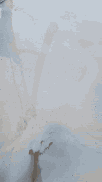 السلام عليكم ورحمه الله وبركاته سنه سعيده عليكم ان شاء الله سنه 26 احنا جماعه الصب اليدوي اللي عندي بيت ما مسلط ومسلطه واللي عنده صبه نظافه نشتغلها تنظيف وصب شغل درجه اولى يرضي بي الله سبحانه وتعالى شغلي داخل البصره ***********
