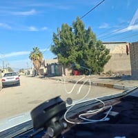 الرجيبة الهندية • ٣٢٥م • سند ٢٠٢٥